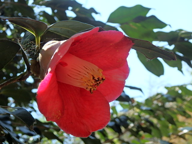 f0334143_18444094.jpg