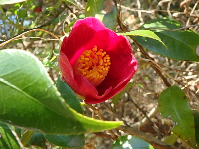 f0334143_18445798.jpg