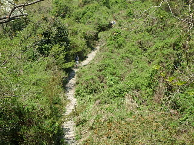 f0334143_18511969.jpg