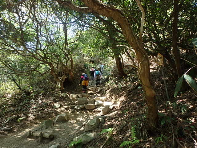 f0334143_18513154.jpg