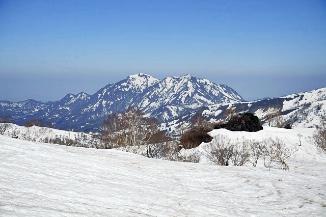 b0122448_21132045.jpg