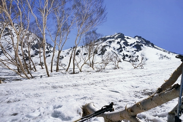 b0122448_21163276.jpg