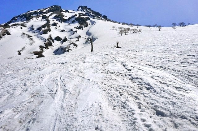 b0122448_21165462.jpg