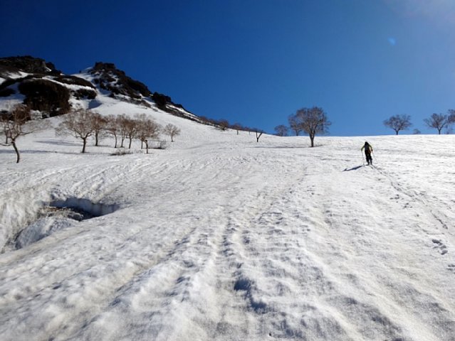 b0122448_21172798.jpg