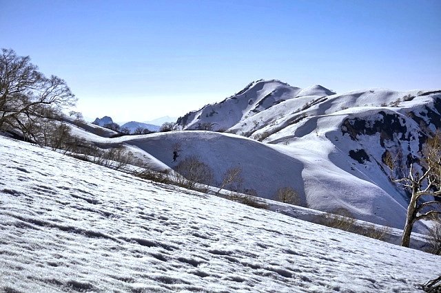 b0122448_21174960.jpg
