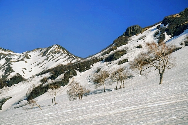 b0122448_21185325.jpg