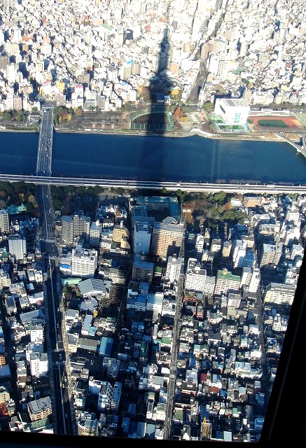 c0119160_20304331.jpg