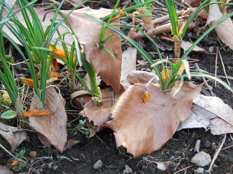 e0088260_21554739.jpg