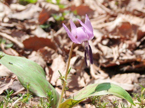 e0088260_21564030.jpg