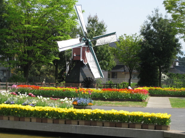 f0345263_22250168.jpg