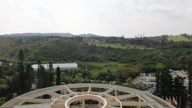 c0155364_012465.jpg