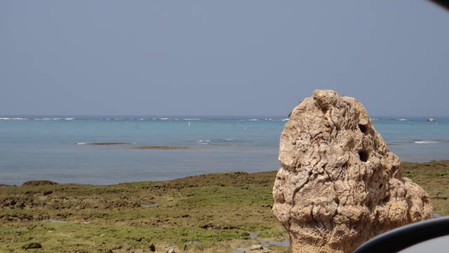 c0155364_0344873.jpg