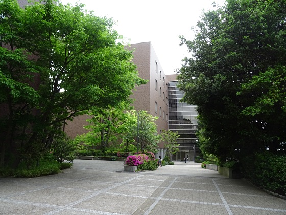 d0158464_20154099.jpg