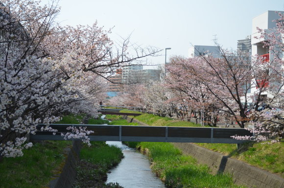e0120466_09390076.jpg