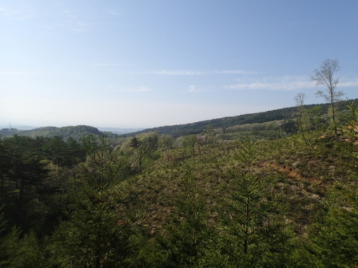 a0279883_16345521.jpg
