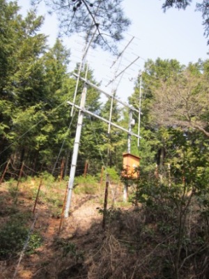 c0118495_22431876.jpg