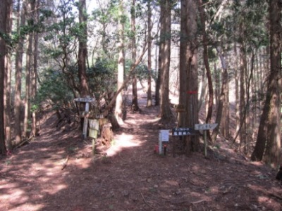 c0118495_22455530.jpg