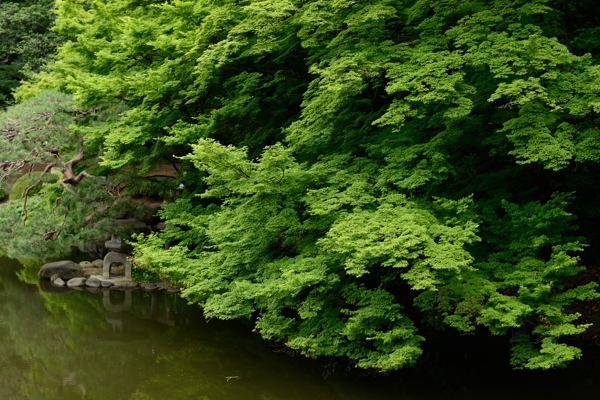 f0233999_17111151.jpg