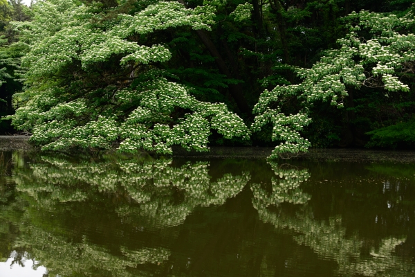 f0233999_17213411.jpg