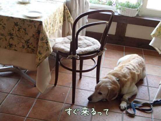 f0064906_1594535.jpg