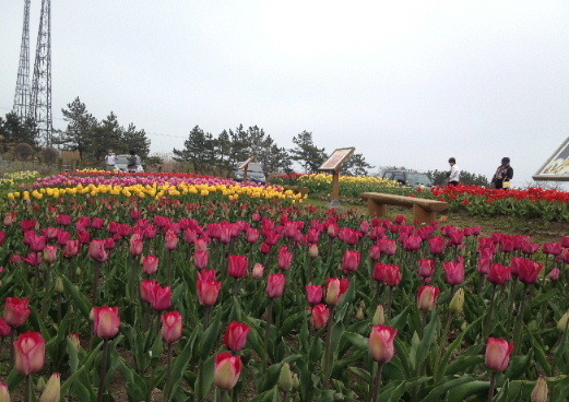 a0337807_13121964.jpg
