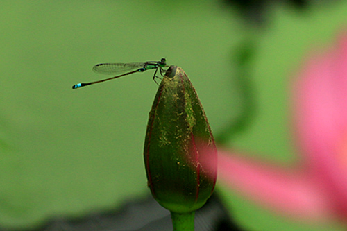 b0014607_18181369.jpg