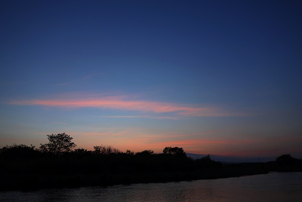 e0123808_12025.jpg