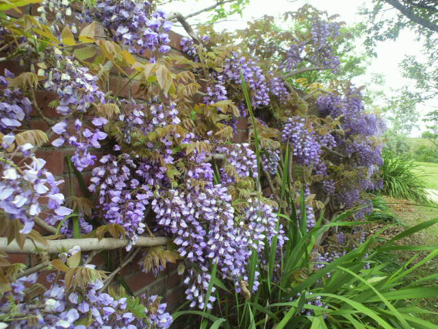 e0099212_21121769.jpg