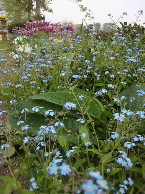 e0099212_2174691.jpg