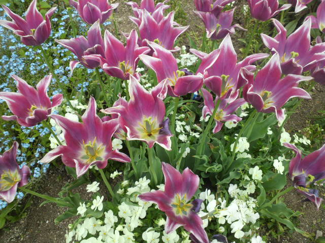 e0099212_2182410.jpg