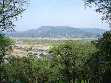 d0250123_22241448.jpg