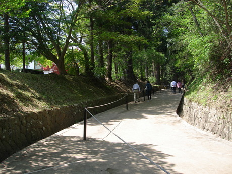 d0250123_2291337.jpg