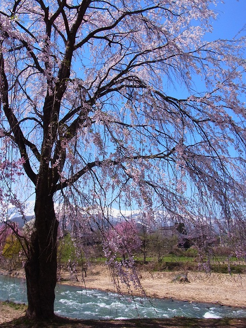 c0225927_17301783.jpg