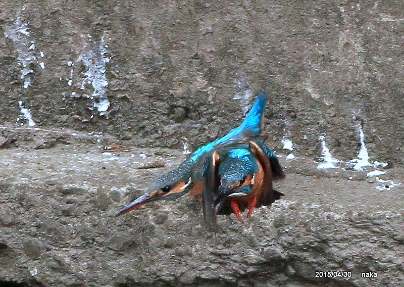 f0281533_17264932.jpg