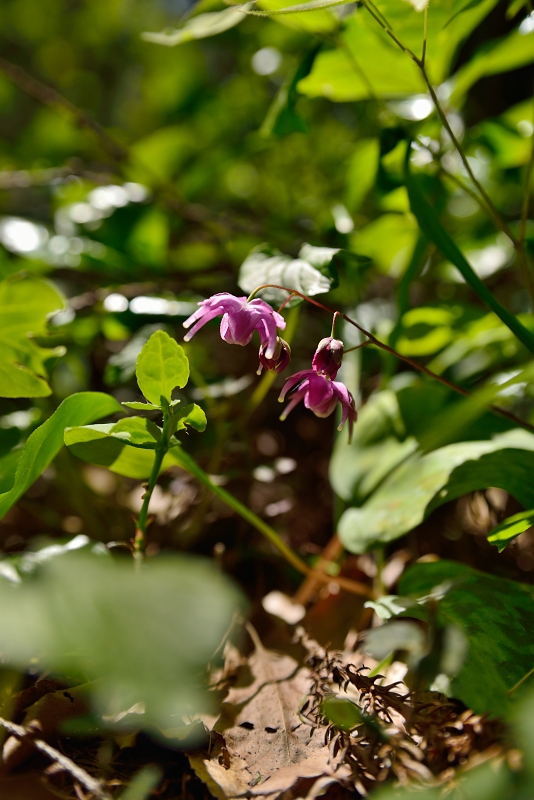 b0236334_20305889.jpg