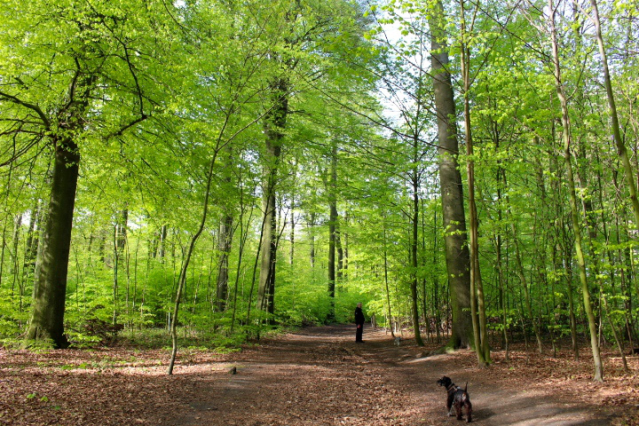 c0153740_21451515.jpg