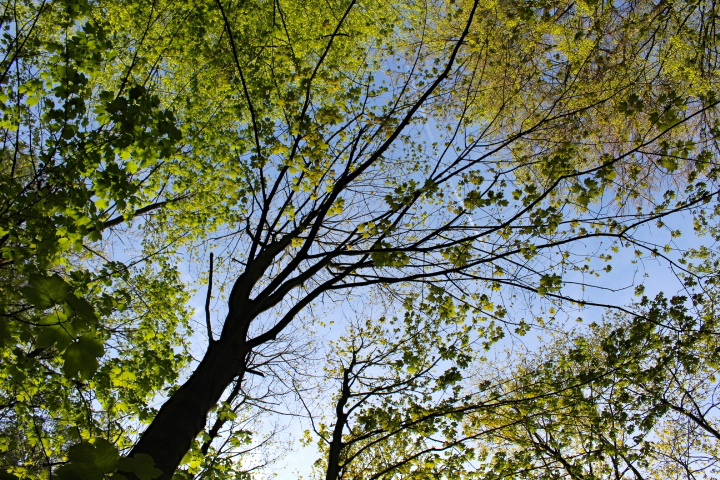 c0153740_2150090.jpg