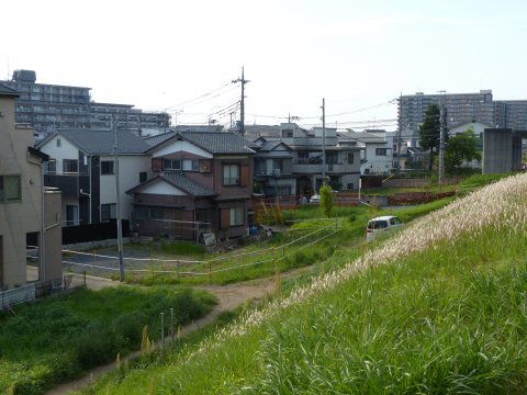 f0068341_0545121.jpg
