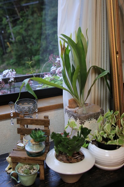 f0288049_2223138.jpg