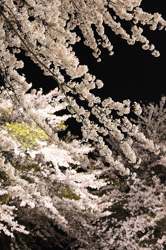 b0250154_23474006.jpg