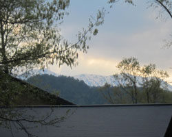 d0050155_950597.jpg