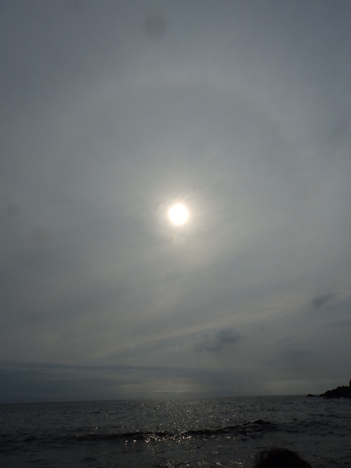 b0160957_5393963.jpg