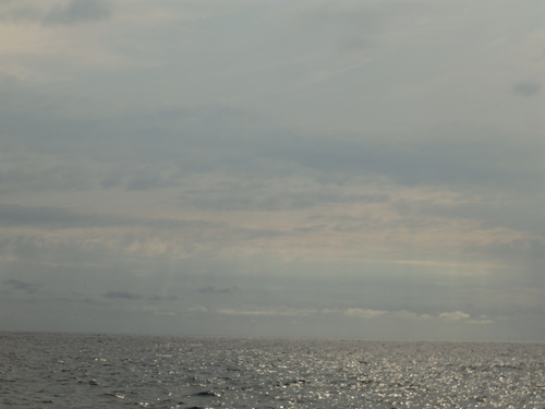 b0160957_5412022.jpg