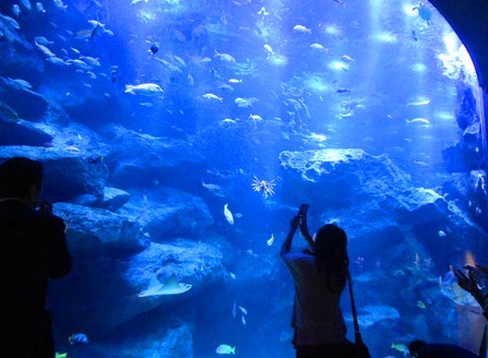 c0119160_828912.jpg