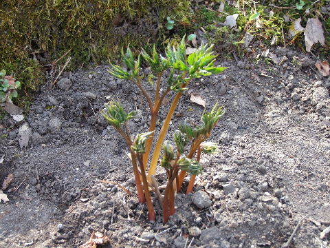 e0088260_13415000.jpg
