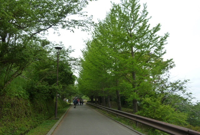 e0278968_20572632.jpg