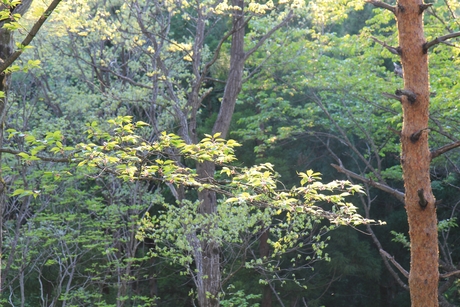 c0283778_17112059.jpg