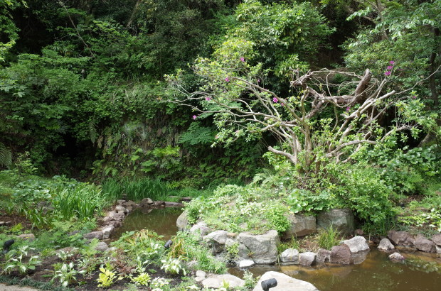 c0188784_20004143.jpg