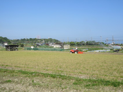 f0053885_1957383.jpg