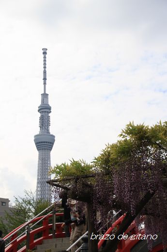 c0212987_18391746.jpg